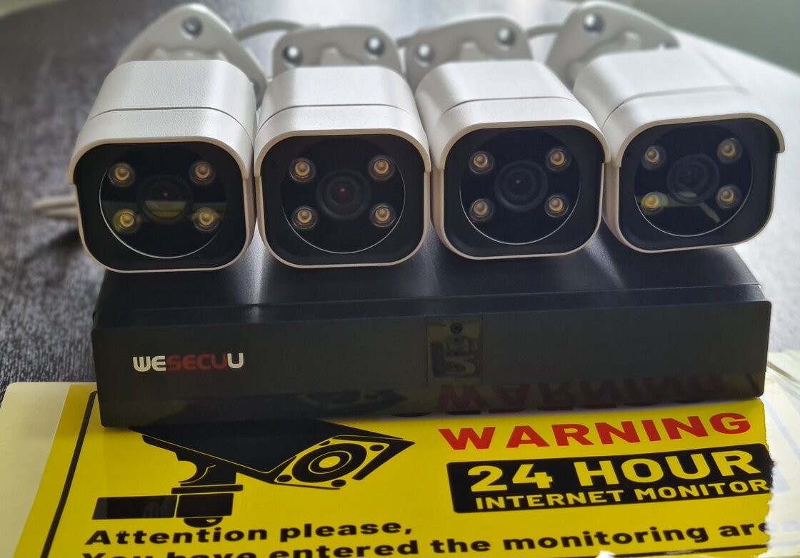 These 4 brothers are waiting for someone to watch 