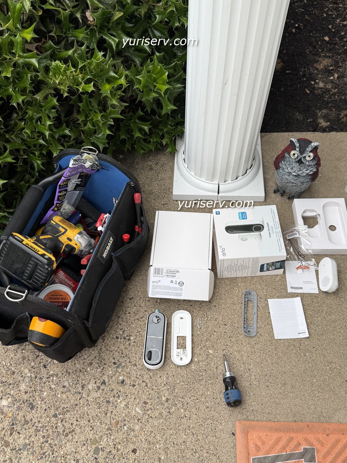 An Owl Supervises the Arlo Doorbell Installation