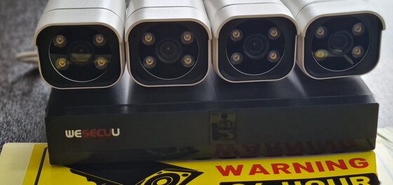 These 4 brothers are waiting for someone to watch 